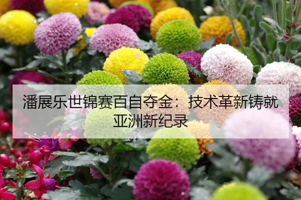 潘展乐世锦赛百自夺金：技术革新铸就亚洲新纪录