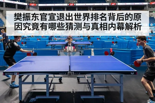 樊振东官宣退出世界排名背后的原因究竟有哪些猜测与真相内幕解析
