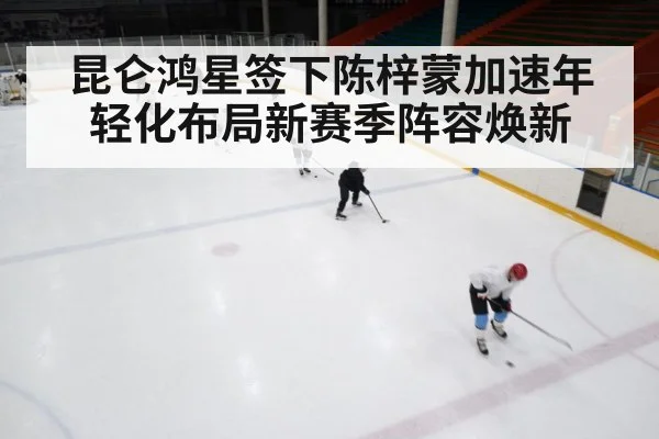 ice hockey rink