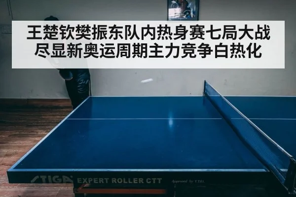 王楚钦樊振东队内热身赛七局大战尽显新奥运周期主力竞争白热化