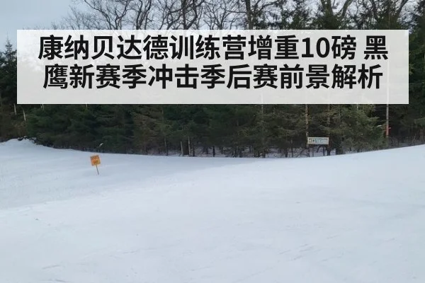 康纳贝达德训练营增重10磅 黑鹰新赛季冲击季后赛前景解析