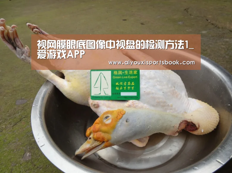 视网膜眼底图像中视盘的检测方法1_爱游戏APP(图1) 爱游戏电竞