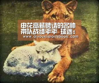爱游戏娱乐